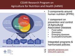 CGIAR Research Program on Agriculture for Improved Nutrition and Health