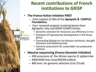 CGIAR Research Programs and CIRAD - Presentations from the 2013 Annual Meeting between CGIAR and the French Research Institutions