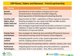 CGIAR Research Programs and CIRAD - Presentations from the 2013 Annual Meeting between CGIAR and the French Research Institutions