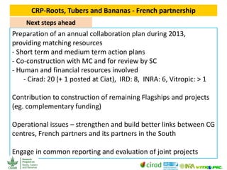 CGIAR Research Programs and CIRAD - Presentations from the 2013 Annual Meeting between CGIAR and the French Research Institutions