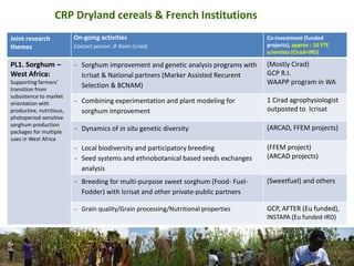 CGIAR Research Programs and CIRAD - Presentations from the 2013 Annual Meeting between CGIAR and the French Research Institutions