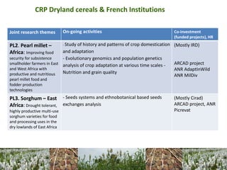 CGIAR Research Programs and CIRAD - Presentations from the 2013 Annual Meeting between CGIAR and the French Research Institutions