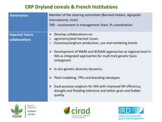 CGIAR Research Programs and CIRAD - Presentations from the 2013 Annual Meeting between CGIAR and the French Research Institutions
