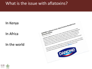 What is the issue with aflatoxins? 
In Kenya 
In Africa 
In the world  
