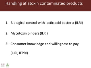 CGIAR research to combat mycotoxin impact in Africa