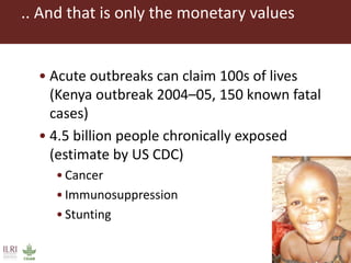 CGIAR research to combat mycotoxin impact in Africa