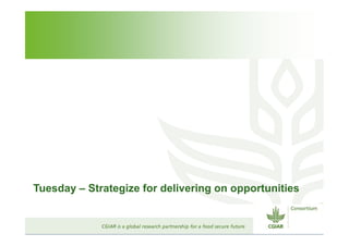 CGIAR Site Integration: Site Integration Plans – next steps