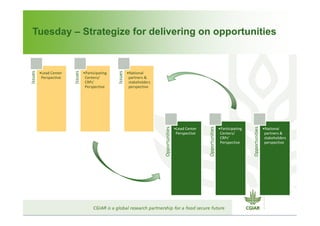 CGIAR Site Integration: Site Integration Plans – next steps