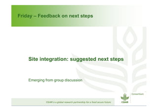 CGIAR Site Integration: Site Integration Plans – next steps