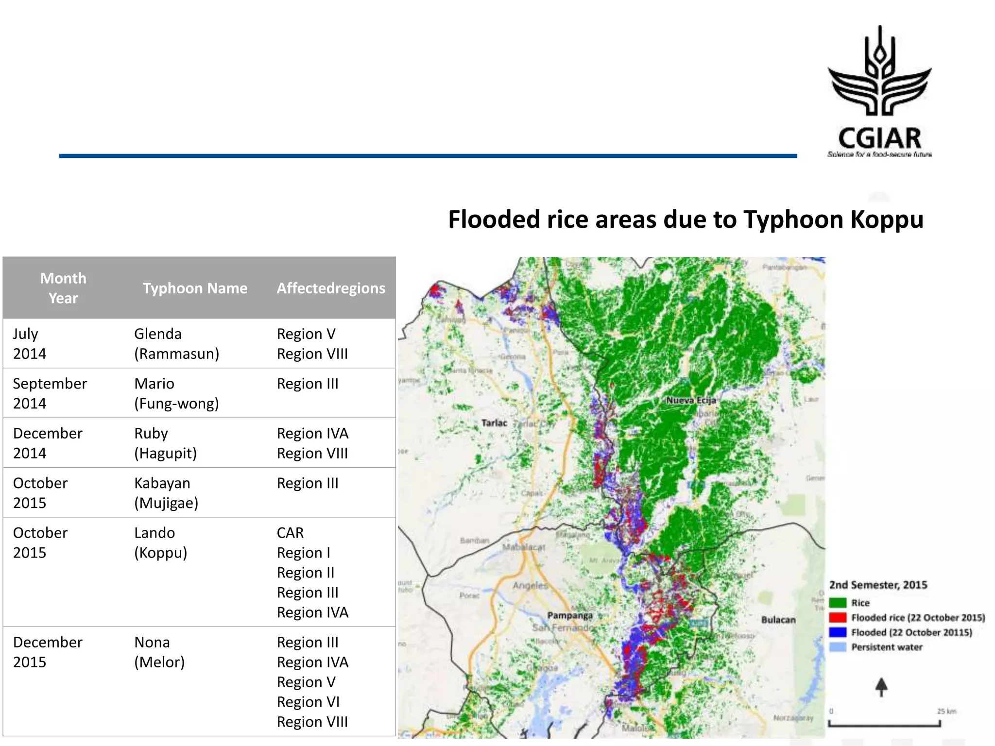 Flooded rice areas due to Typhoon Koppu
Month
Year
Typhoon Name Affectedregions
July
2014
Glenda
(Rammasun)
Region V
Region VIII
September
2014
Mario
(Fung-wong)
Region III
December
2014
Ruby
(Hagupit)
Region IVA
Region VIII
October
2015
Kabayan
(Mujigae)
Region III
October
2015
Lando
(Koppu)
CAR
Region I
Region II
Region III
Region IVA
December
2015
Nona
(Melor)
Region III
Region IVA
Region V
Region VI
Region VIII
 