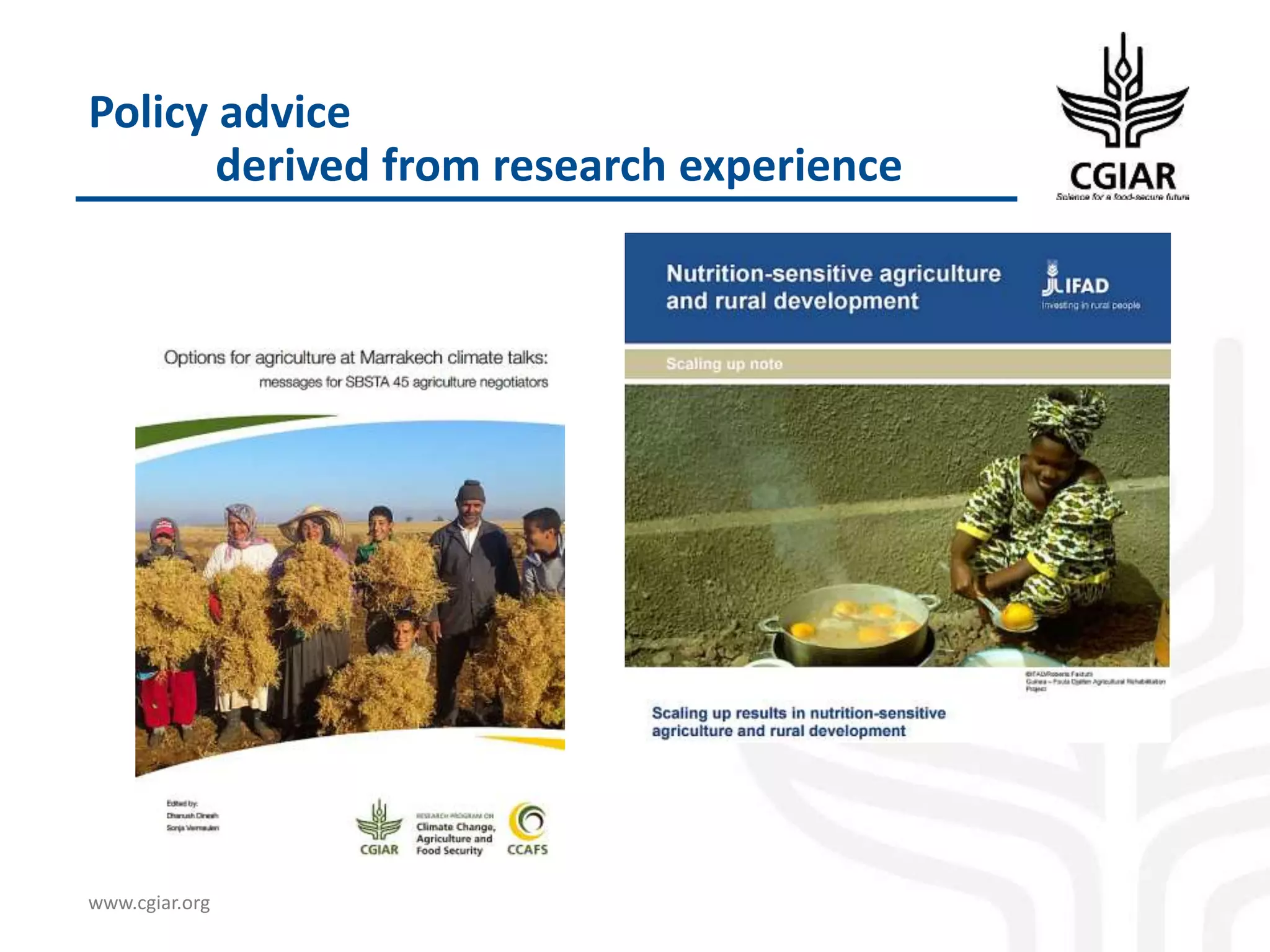 www.cgiar.org
Policy advice
derived from research experience
 
