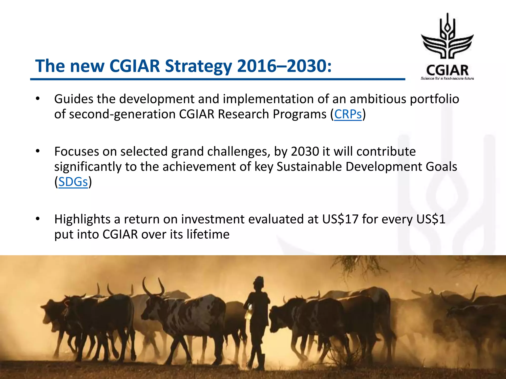 The new CGIAR Strategy 2016–2030:
• Guides the development and implementation of an ambitious portfolio
of second-generation CGIAR Research Programs (CRPs)
• Focuses on selected grand challenges, by 2030 it will contribute
significantly to the achievement of key Sustainable Development Goals
(SDGs)
• Highlights a return on investment evaluated at US$17 for every US$1
put into CGIAR over its lifetime
24
 