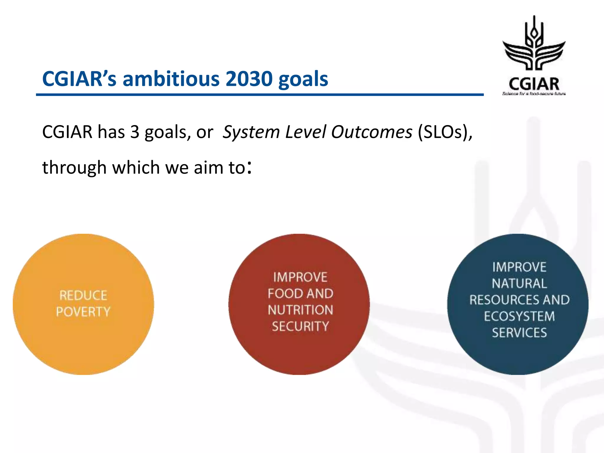 CGIAR’s ambitious 2030 goals
CGIAR has 3 goals, or System Level Outcomes (SLOs),
through which we aim to:
 