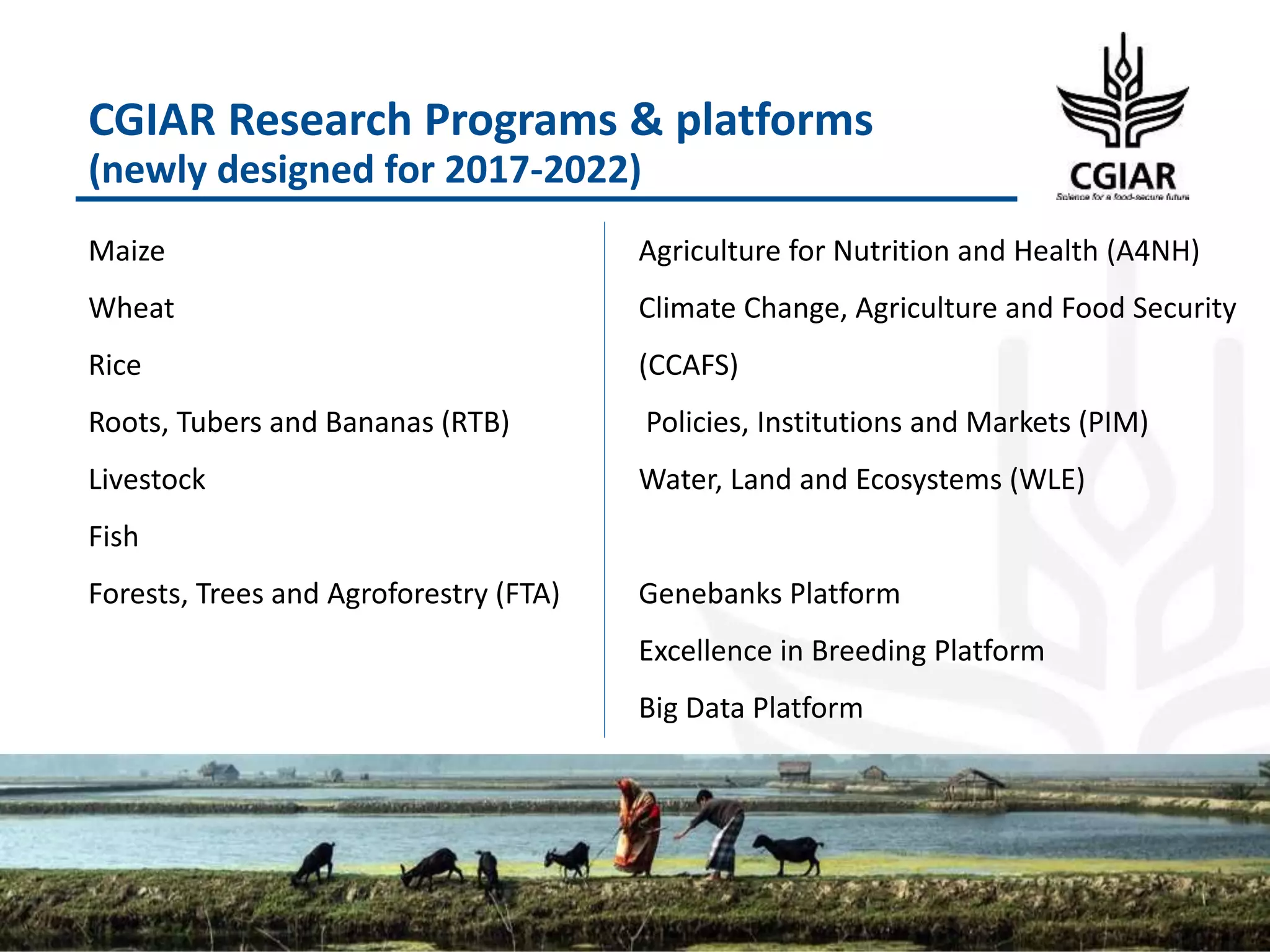 CGIAR Research Programs & platforms
(newly designed for 2017-2022)
27
Maize
Wheat
Rice
Roots, Tubers and Bananas (RTB)
Livestock
Fish
Forests, Trees and Agroforestry (FTA)
Agriculture for Nutrition and Health (A4NH)
Climate Change, Agriculture and Food Security
(CCAFS)
Policies, Institutions and Markets (PIM)
Water, Land and Ecosystems (WLE)
Genebanks Platform
Excellence in Breeding Platform
Big Data Platform
 