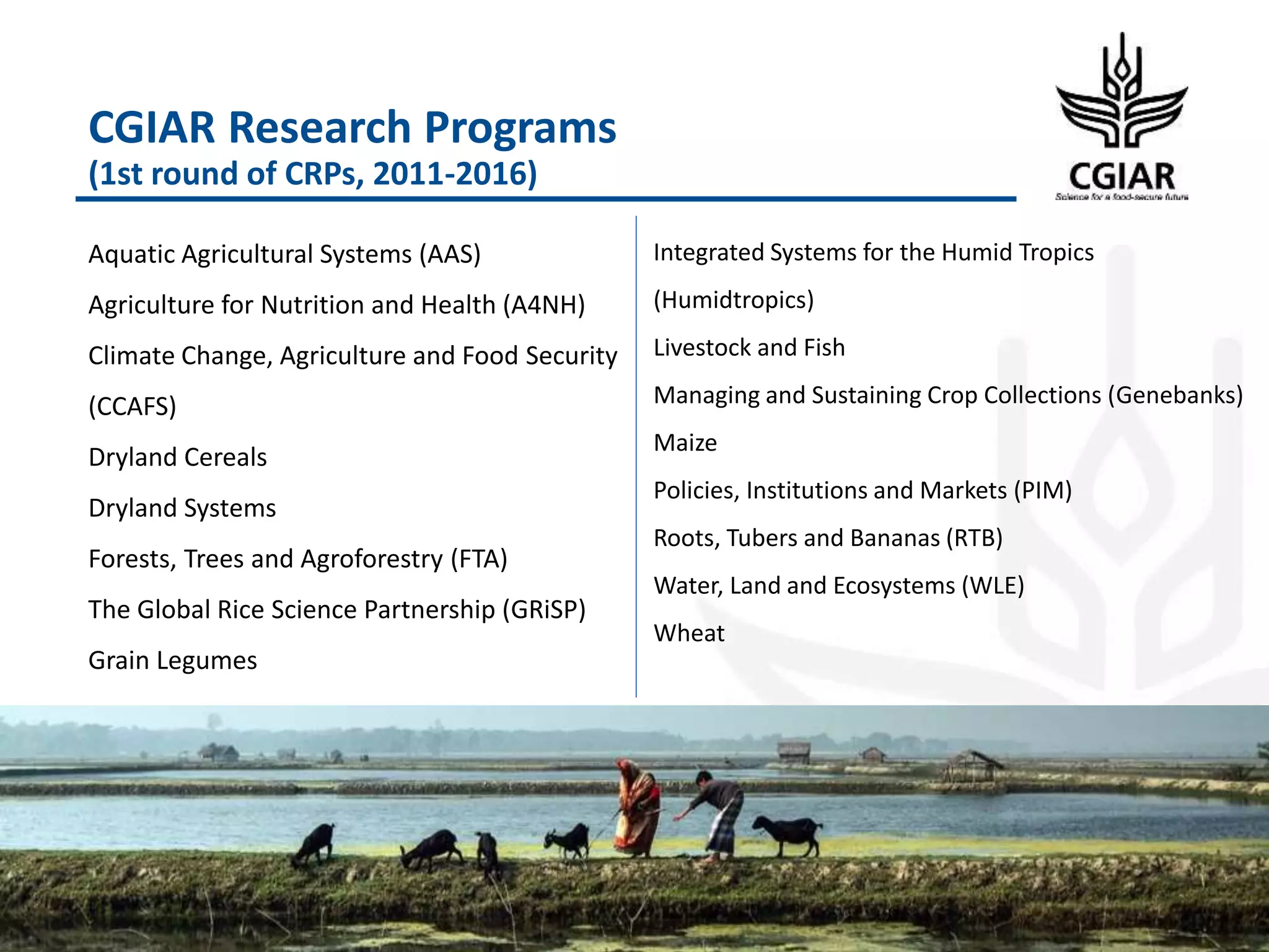CGIAR Research Programs
(1st round of CRPs, 2011-2016)
5
Aquatic Agricultural Systems (AAS)
Agriculture for Nutrition and Health (A4NH)
Climate Change, Agriculture and Food Security
(CCAFS)
Dryland Cereals
Dryland Systems
Forests, Trees and Agroforestry (FTA)
The Global Rice Science Partnership (GRiSP)
Grain Legumes
Integrated Systems for the Humid Tropics
(Humidtropics)
Livestock and Fish
Managing and Sustaining Crop Collections (Genebanks)
Maize
Policies, Institutions and Markets (PIM)
Roots, Tubers and Bananas (RTB)
Water, Land and Ecosystems (WLE)
Wheat
 