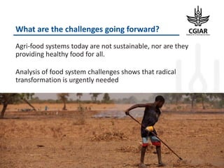 Enhancing Global Food Resources: CGIAR Strategy and its future Portfolio of Programs 2017–2030