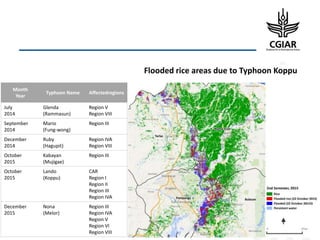 Enhancing Global Food Resources: CGIAR Strategy and its future Portfolio of Programs 2017–2030