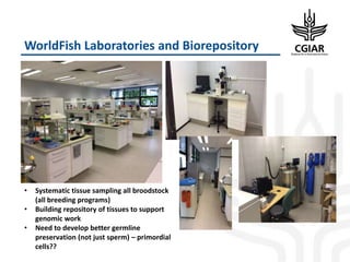 Enhancing Global Food Resources: CGIAR Strategy and its future Portfolio of Programs 2017–2030