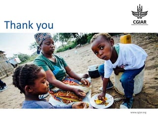 Enhancing Global Food Resources: CGIAR Strategy and its future Portfolio of Programs 2017–2030