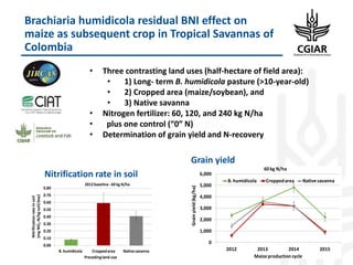 Enhancing Global Food Resources: CGIAR Strategy and its future Portfolio of Programs 2017–2030