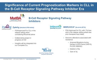 Significance of Current Prognostication Markers in CLL in the B-Cell Receptor Signaling Pathway Inhibitor Era 
B-Cell Receptor Signaling Pathway Inhibitors 
[Kanti Rai, Nicholas Chiorazzi, Jacqueline Barrientos] 
Zydelig [Idelalisib (PI3K-delta)] 
FDA Approved For CLL in the relapse setting when considering Rituximab alone 
Collaborative project in progress at CGI 
Inisights will be integrated into our Complete CLL 
IMBRUVICA® [Ibrutinib (BTK)] 
FDA Approved for CLL with 17p loss and in the relapse setting where two prior therapies have failed 
Genomic alterations associated with resistance 
Acquired Mutations during therapy in BTK Gene (C481S), PLCG2 (R665W) 
Deletion of 8p 
Gain of 3q 
18 
Hematology Portfolio | 2014 Cancer Genetics, Inc. | www.cancergenetics.com  