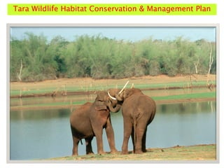 Tara Wildlife Habitat Conservation & Management Plan
 