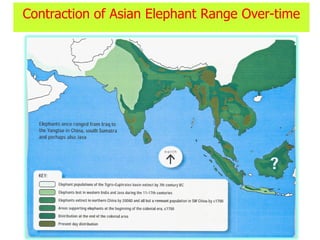 Contraction of Asian Elephant Range Over-time
 