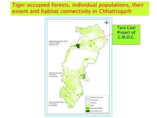 Tara Coal
Project of
C.M.D.C.
Tiger occupied forests, individual populations, their
extent and habitat connectivity in Chhattisgarh
 