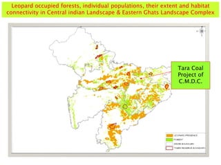 Tara Coal
Project of
C.M.D.C.
Leopard occupied forests, individual populations, their extent and habitat
connectivity in Central indian Landscape & Eastern Ghats Landscape Complex
 