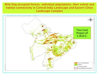 Tara Coal
Project of
C.M.D.C.
Wild Dog occupied forests, individual populations, their extent and
habitat connectivity in Central India Landscape and Eastern Ghats
Landscape Complex
 