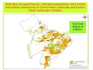 Tara Coal
Project of
C.M.D.C.
Sloth Bear occupied forests, individual populations, their extent
and habitat connectivity in Central India Landscape and Eastern
Ghats Landscape Complex
 
