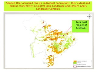 Tara Coal
Project of
C.M.D.C.
Spotted Dear occupied forests, individual populations, their extent and
habitat connectivity in Central India Landscape and Eastern Ghats
Landscape Complex
 