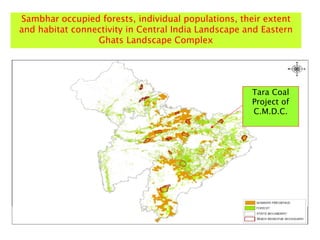 Tara Coal
Project of
C.M.D.C.
Sambhar occupied forests, individual populations, their extent
and habitat connectivity in Central India Landscape and Eastern
Ghats Landscape Complex
 