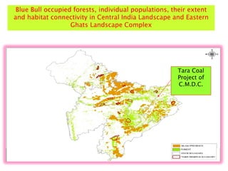 Tara Coal
Project of
C.M.D.C.
Blue Bull occupied forests, individual populations, their extent
and habitat connectivity in Central India Landscape and Eastern
Ghats Landscape Complex
 