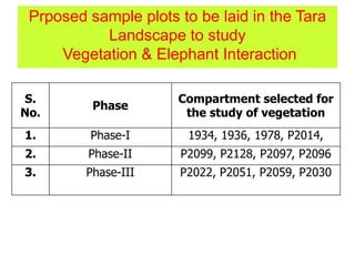 Prposed sample plots to be laid in the Tara
Landscape to study
Vegetation & Elephant Interaction
S.
No.
Phase
Compartment selected for
the study of vegetation
1. Phase-I 1934, 1936, 1978, P2014,
2. Phase-II P2099, P2128, P2097, P2096
3. Phase-III P2022, P2051, P2059, P2030
 