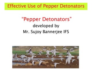 Effective Use of Pepper Detonators
“Pepper Detonators”
developed by
Mr. Sujoy Bannerjee IFS
 