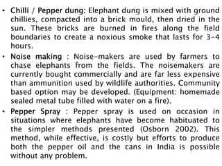 • Chilli / Pepper dung: Elephant dung is mixed with ground
chillies, compacted into a brick mould, then dried in the
sun. These bricks are burned in fires along the field
boundaries to create a noxious smoke that lasts for 3-4
hours.
• Noise making : Noise-makers are used by farmers to
chase elephants from the fields. The noisemakers are
currently bought commercially and are far less expensive
than ammunition used by wildlife authorities. Community
based option may be developed. (Equipment: homemade
sealed metal tube filled with water on a fire).
• Pepper Spray : Pepper spray is used on occasion in
situations where elephants have become habituated to
the simpler methods presented (Osborn 2002). This
method, while effective, is costly but efforts to produce
both the pepper oil and the cans in India is possible
without any problem.
 