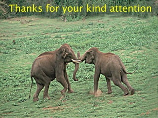 Thanks for your kind attention
 