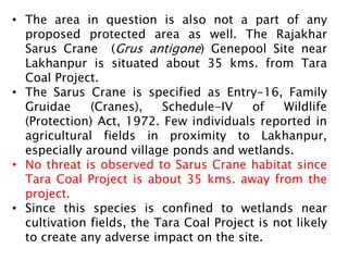 • The area in question is also not a part of any
proposed protected area as well. The Rajakhar
Sarus Crane (Grus antigone) Genepool Site near
Lakhanpur is situated about 35 kms. from Tara
Coal Project.
• The Sarus Crane is specified as Entry-16, Family
Gruidae (Cranes), Schedule-IV of Wildlife
(Protection) Act, 1972. Few individuals reported in
agricultural fields in proximity to Lakhanpur,
especially around village ponds and wetlands.
• No threat is observed to Sarus Crane habitat since
Tara Coal Project is about 35 kms. away from the
project.
• Since this species is confined to wetlands near
cultivation fields, the Tara Coal Project is not likely
to create any adverse impact on the site.
 