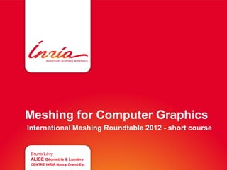 Meshing for computer graphics | PDF