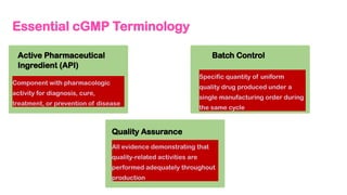 Common Cgmp Examples Current Good Manufacturing Practice (cGMP).pptx