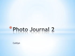 Caitlyn Photo Journal 2 