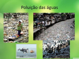 Poluição das águas 
