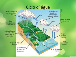 A precipitação cai 
nas terras altas. 
Água 
transportada a 
jusante pelo rio. 
A água infiltra-se 
no solo e flui 
para o lago ou 
para o rio. 
A água do lago 
evapora. 
A água infiltra-se 
no solo e flui 
para o mar. 
O vapor de água 
vento forma nuvens. 
A água 
do mar 
evapora. 
O rio deságua 
no mar. 
água 
acumulada 
no mar 
vapor de água 
liberado na 
atmosfera por 
plantas e animais 
vento 
LUIS MOURA / ARQUIVO DA 
EDITORA 
Ciclo d’ água 
 