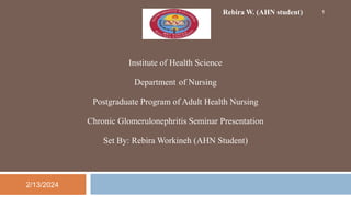 Institute of Health Science
Department of Nursing
Postgraduate Program of Adult Health Nursing
Chronic Glomerulonephritis Seminar Presentation
Set By: Rebira Workineh (AHN Student)
Rebira W. (AHN student)
2/13/2024
1
 