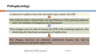 Pathophysiology
3/12/2024
Rebira W. (AHN student)
A reduction in nephron mass from the initial injury reduces the GFR
This reduction leads to hypertrophy and hyperfiltration of the remaining nephrons
and to the initiation of intraglomerular hypertension
These changes occur in order to increase the GFR of the remaining nephrons, thus
minimizing the functional consequences of nephron loss
15
The changes, however, are ultimately detrimental because they lead to
glomerulosclerosis and further nephron loss
 