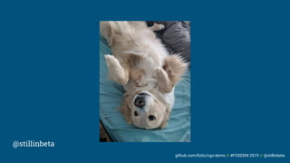 github.com/liztio/cgo-demo // #FOSDEM 2019 // @stillinbeta
@stillinbeta
 
