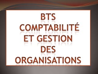 BTS   Comptabilité Et GestionDES ORGANISATIONS 