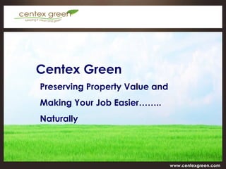 Centex Green Preserving Property Value and Making Your Job Easier…….. Naturally 