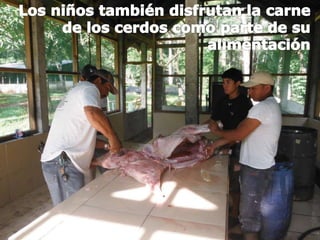 Casa Guatemala Needs your Help!